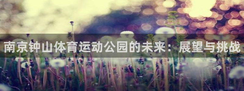 利记官方正版app科技:南京钟山体育运动公园的未来:展望与挑