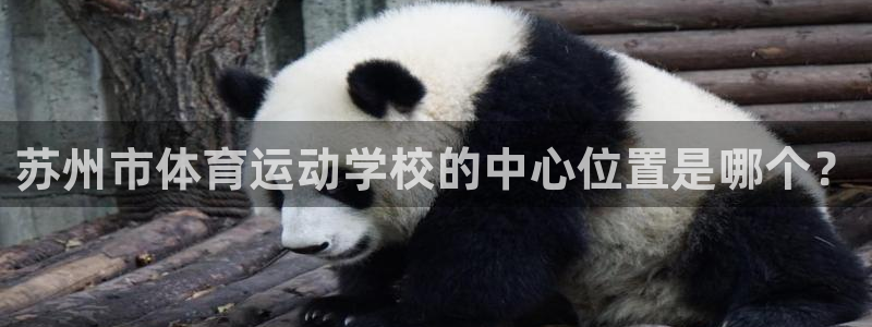 利记官方正版app新能源:苏州市体育运动学校的中心位置是哪个